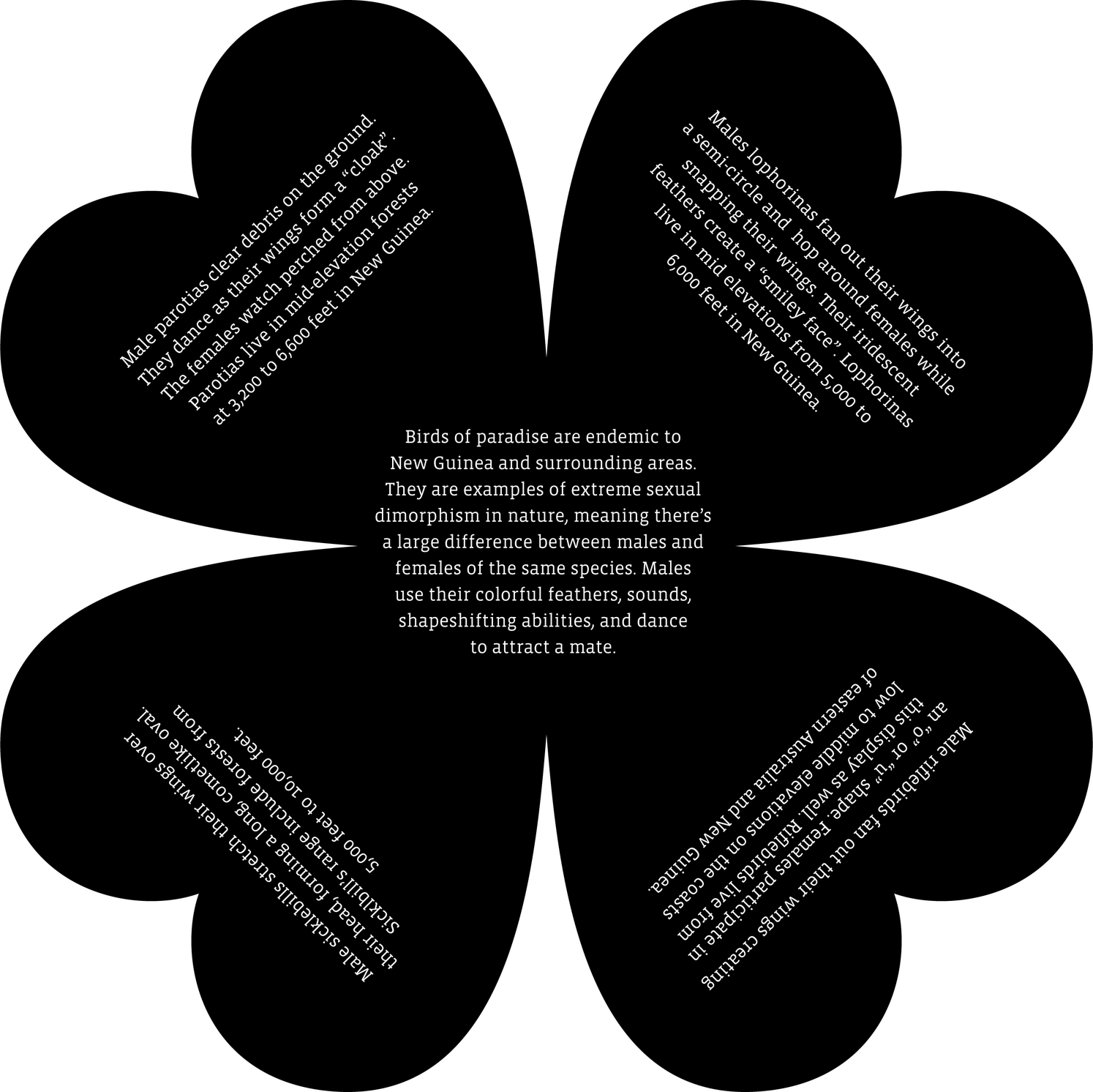Pamphlet Back