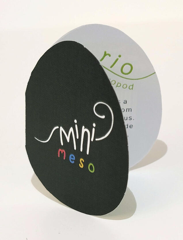 Toy Tag